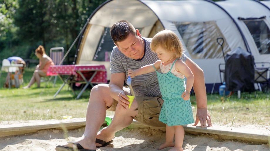 Camping de Paal Bergeijk afbeelding 4